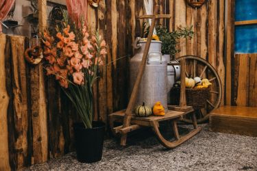 Partyimpressionen